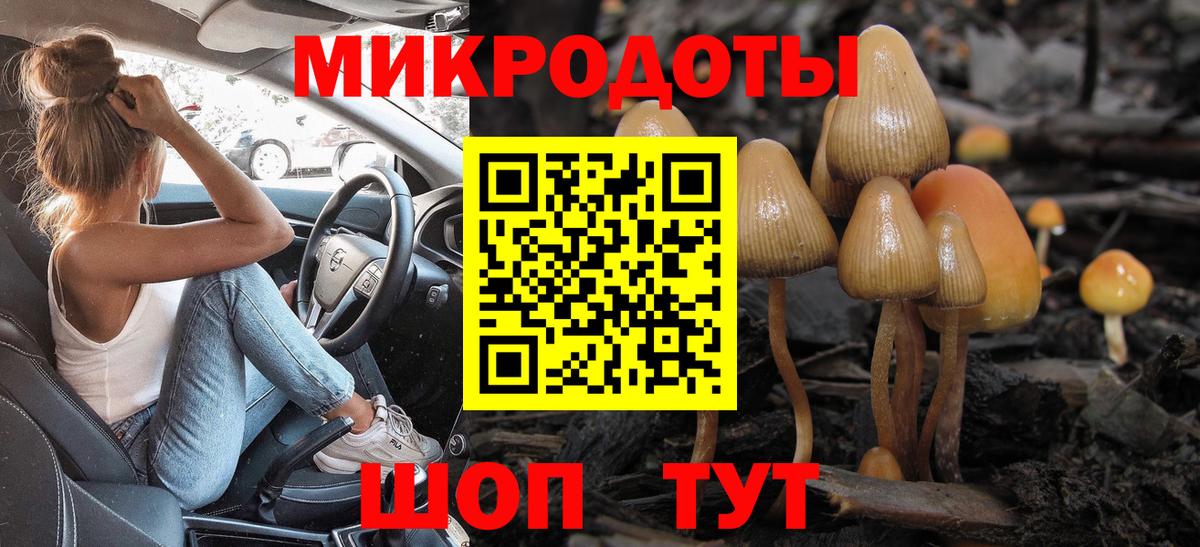 где найти наркотики  Вход с VPN  Балахна  Галлюциногенные грибы мицелий 